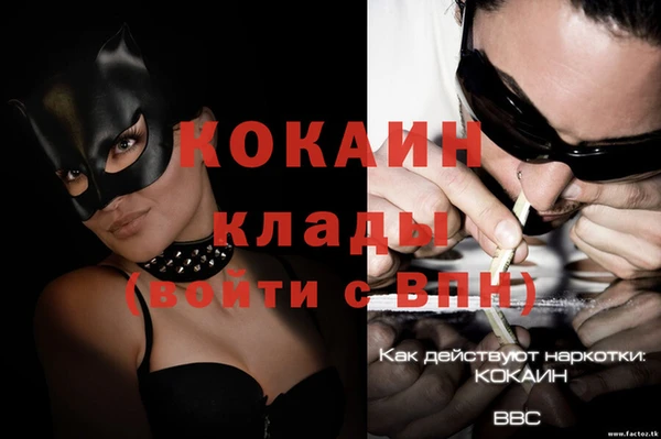 стаф Алзамай