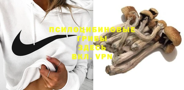 spice Алексеевка