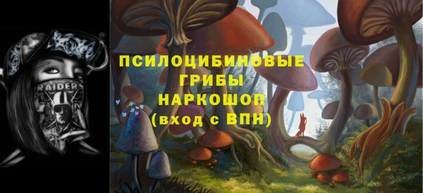 стаф Алзамай