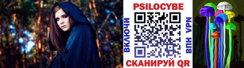 Галлюциногенные грибы Psilocybine cubensis  Волгодонск 
